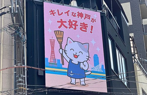 popo.co.